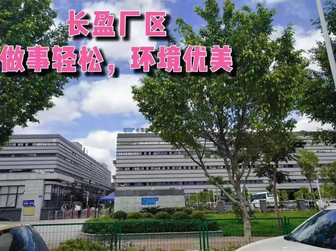 玩具厂的劳动法问题解答与建议