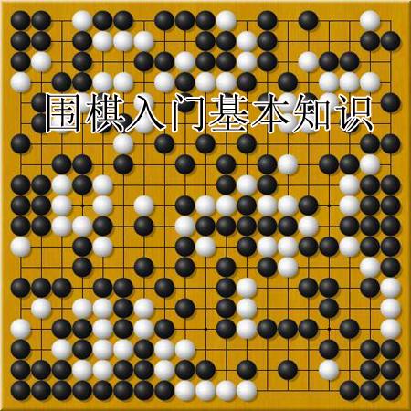 1.了解围棋的基本规则