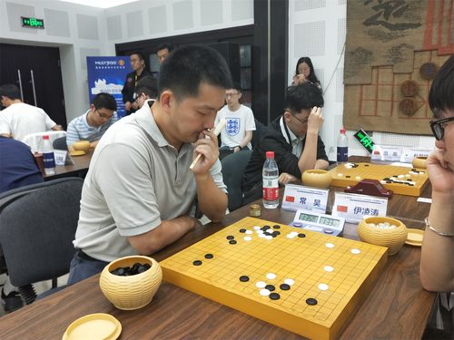 洛阳市围棋培训哪个好