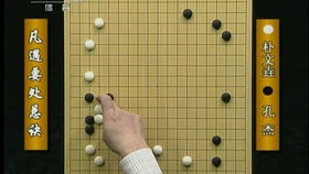 怎样下围棋新手入门