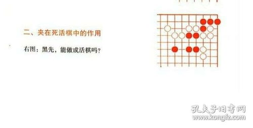 围棋入门教学书