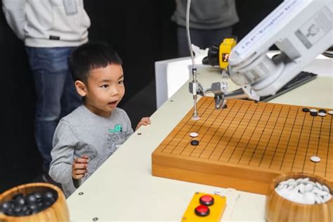 围棋赛程2024