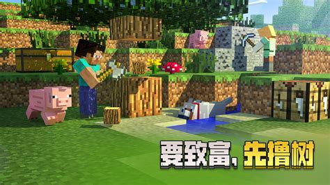 我的世界玩具积木正版