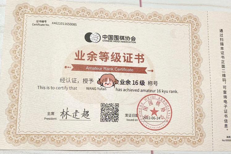 业余围棋段位证书有用么