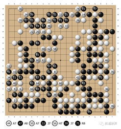 虎口围棋作业