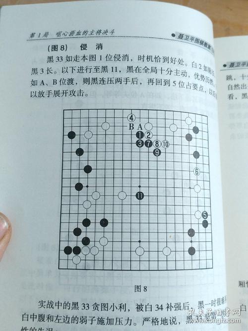 趣味围棋启蒙教学视频