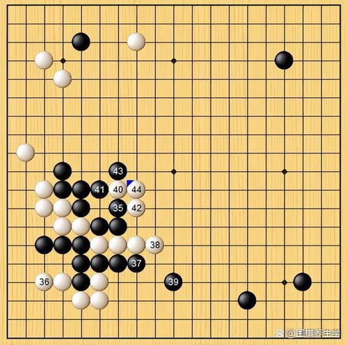 中国最厉害的围棋棋手