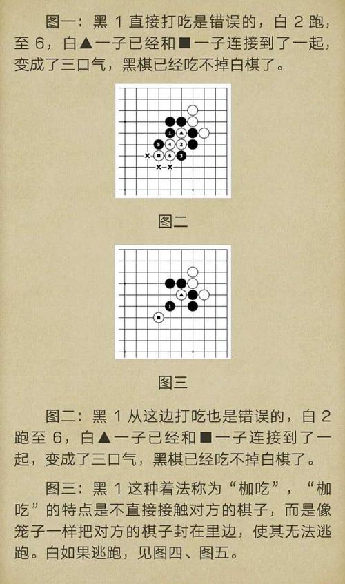 围棋入门指南pdf