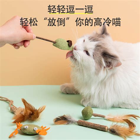 猫咪玩具怎么做