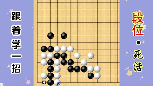 初级围棋教学视频
