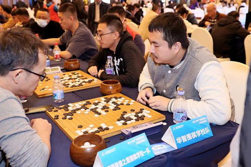 围棋学校叫什么名字比较好