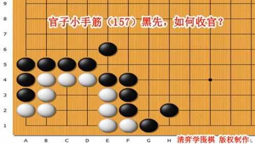 mac围棋ai