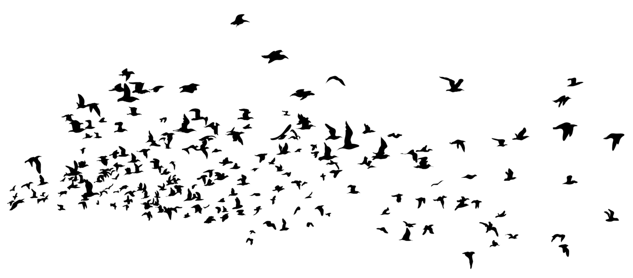 光辉岁月，一首没有吉他的赞歌