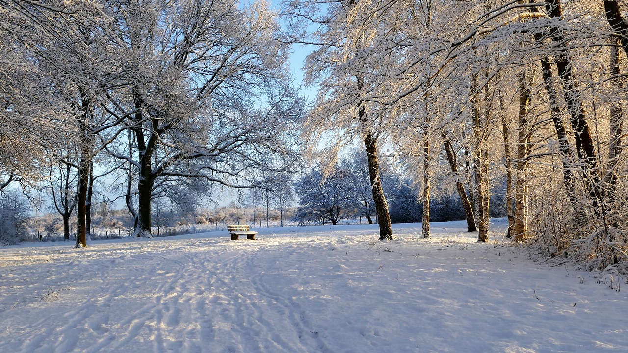 浙江人实现一户一雪人，冰雪奇缘的温暖新篇章