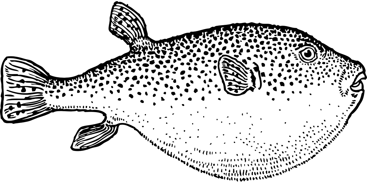 Levi's尺码选择指南